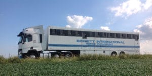 Horse transport getting your horses moved safely
